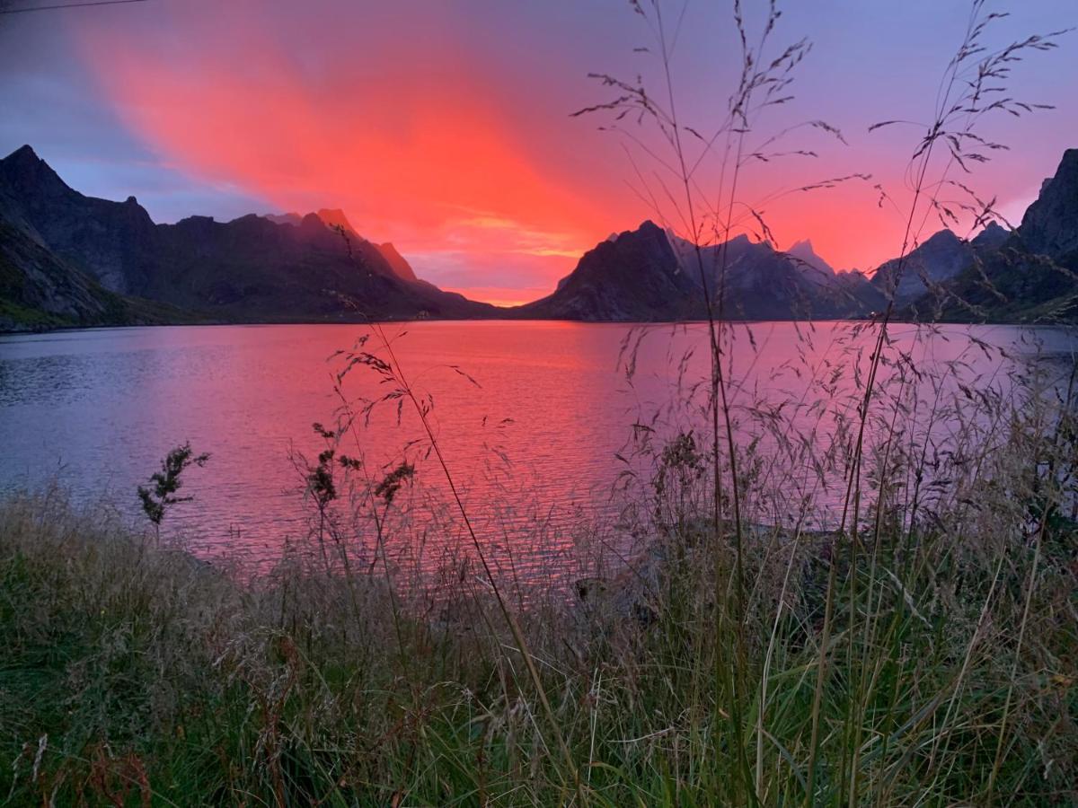 Reinefjord Panorama Moskenes Exterior foto